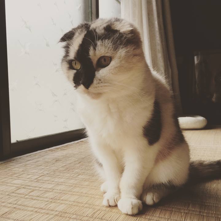 38d78ba0 77ec 4de2 ad91 3ca2f8d3bd59 1538634812603