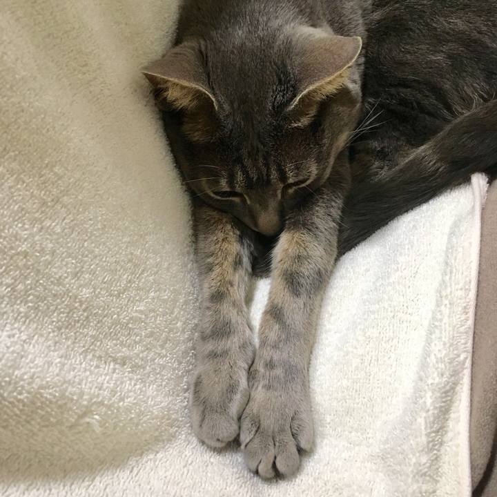 38d7aa4a 092b 4be9 acd9 2fa9478eae59 1556893745622