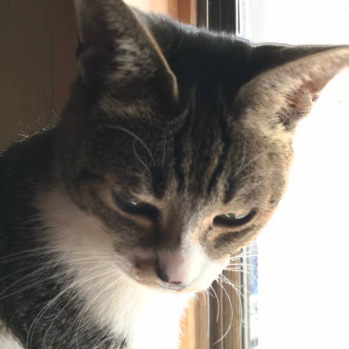 38d7d3ca 6f8d 4e6c 8e92 d110c17b1b23 1516584502407