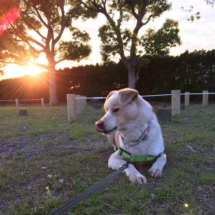 38d80597 dcfe 485d 80b3 dba8f3f16fa6 1525078892430