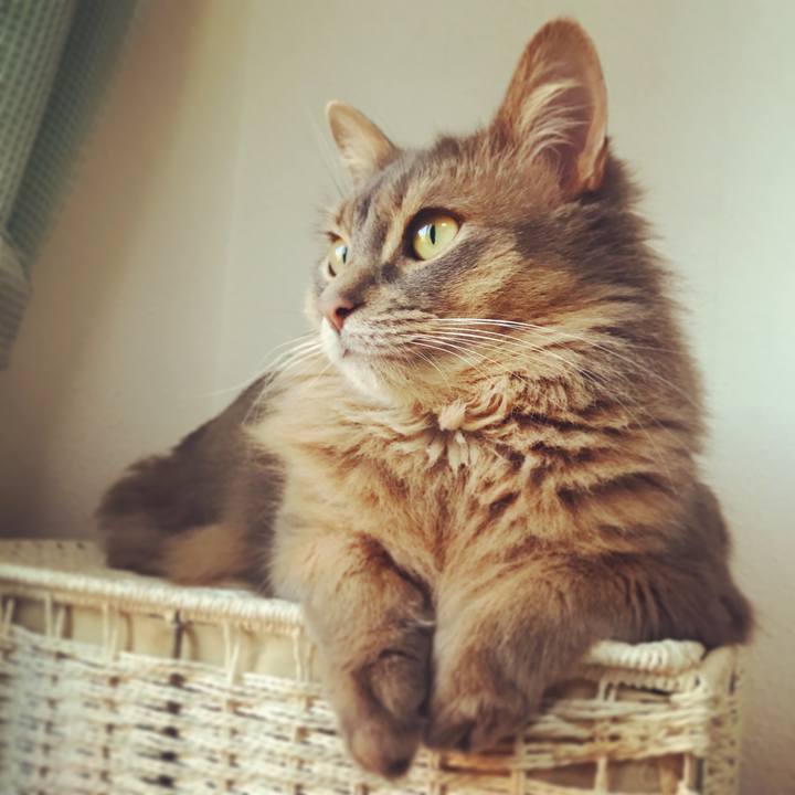 38d81088 95a7 41fa 9521 aa21b2c4f18d 1517331286068