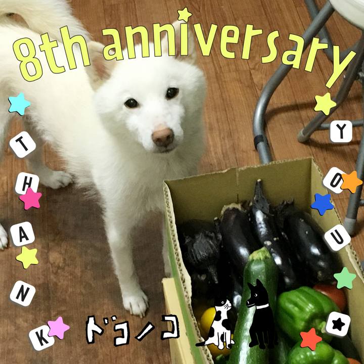 38d82b83 8ac7 481d 968d 7adcf8e9dfd1 1717594282415