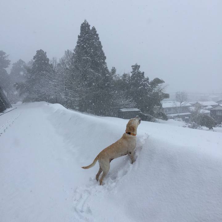 38d82c08 f883 4001 9c1c b7e0a3dd7220 1564809036714