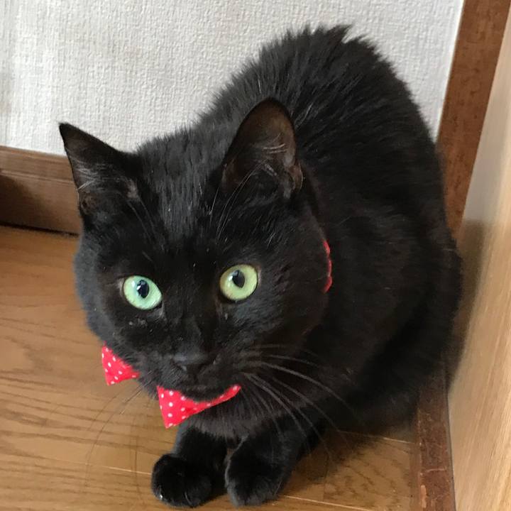 38d835b6 2892 4ff2 9d78 77606b963afe 1561248623013