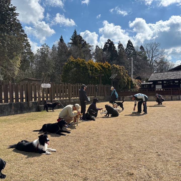 38d85a7a 0917 4393 9f5c 43913dc712dc 1771756688596