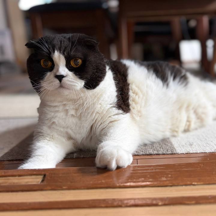 38d8cfd6 69c8 46eb bee3 c7b97a0c2ae5 1761624895843