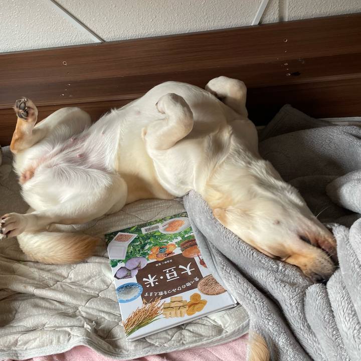 38d8e639 9d9d 4f24 aa05 da9effff0535 1665027824277