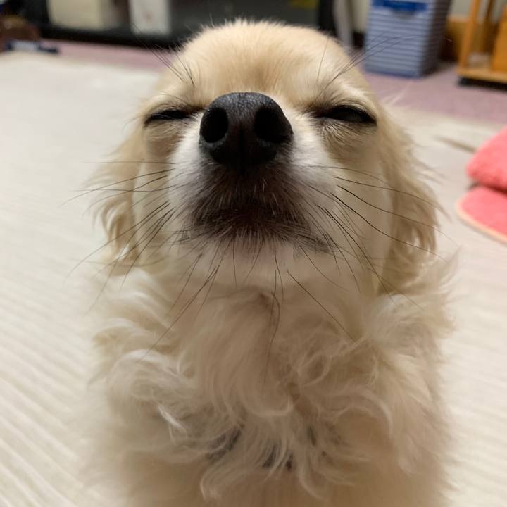 38d92169 41ee 4951 952e df2cf32299d6 1592523649064