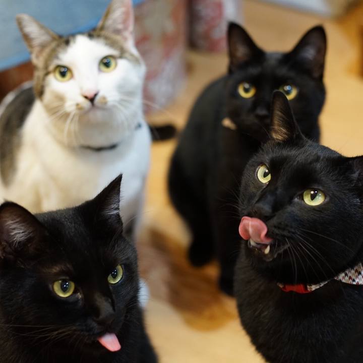 38d93da9 b84f 47c7 b1df 555dac6642a3 1531755027741