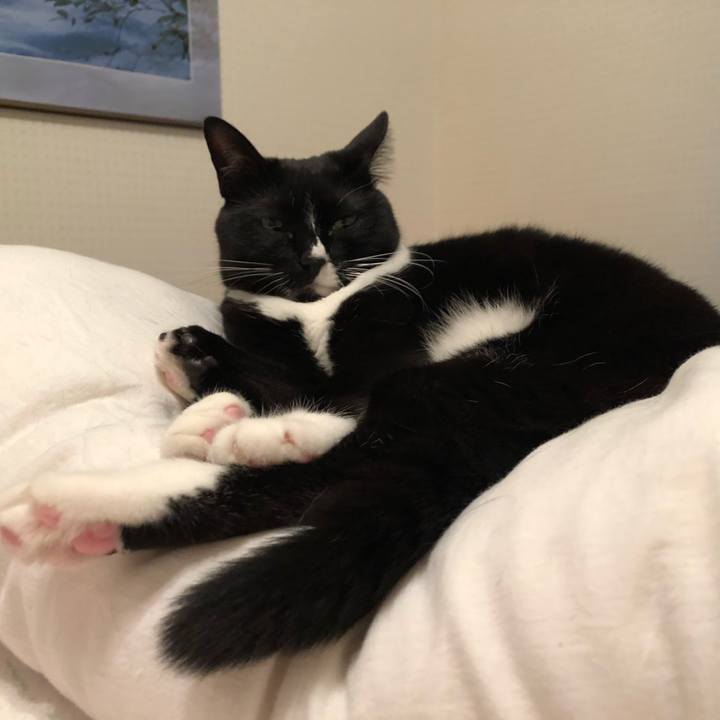 38d95a15 bcf1 41b5 ae48 81d59a145571 1560895956331