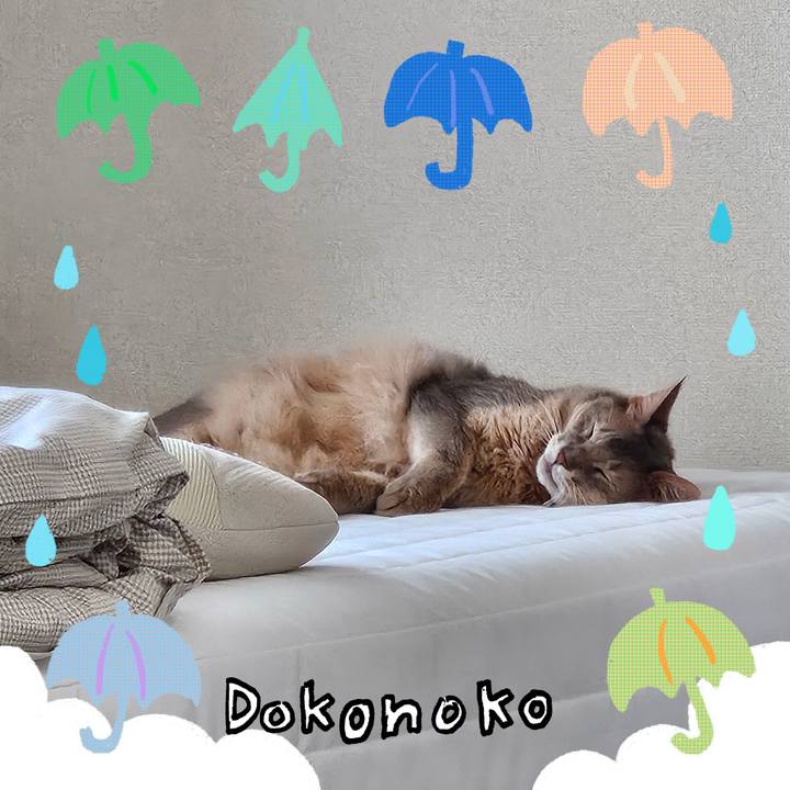 38d95d7a e21e 419a 8368 554e455c31ad 1718332156758