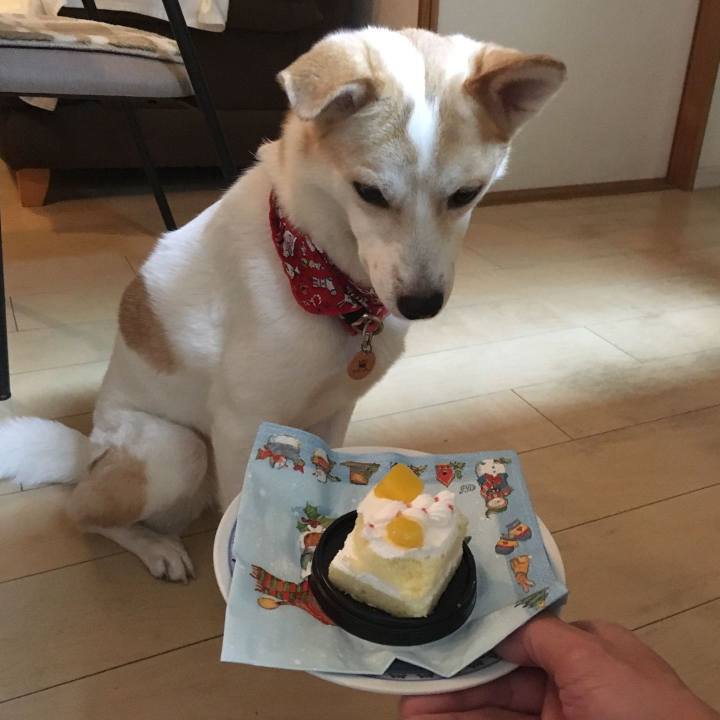 38d9769e a172 4902 ae91 e49f7812df83 1545647302571