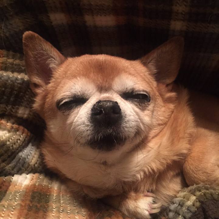 38d99154 265b 46d0 9696 32ae35bec6d6 1664154733588