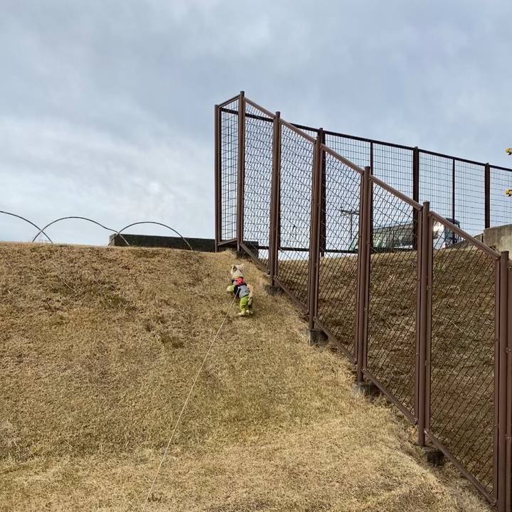 38d9a135 2ffe 460c 9bd5 189725a3c46d 1610546360453