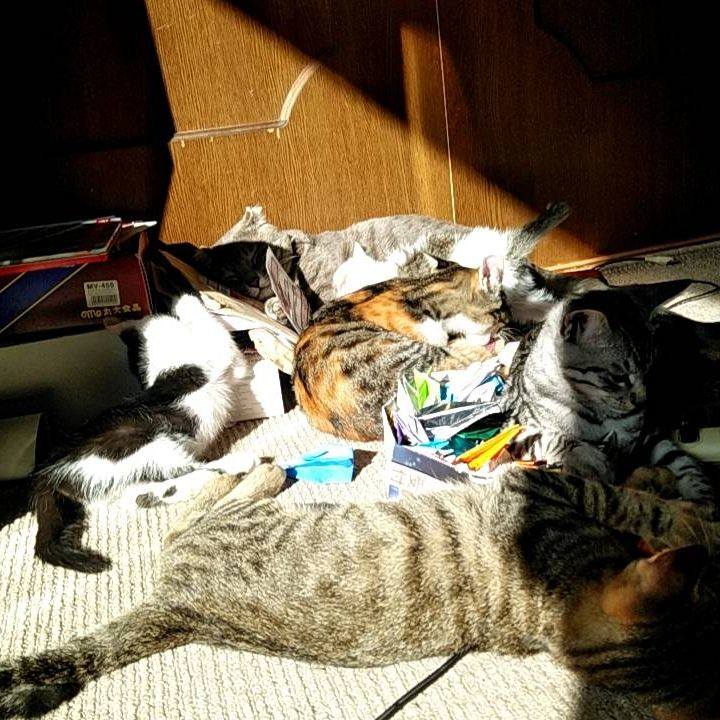 38d9a4b3 003f 49ff 90bf 63d8e7c3a6dd 1697127212608