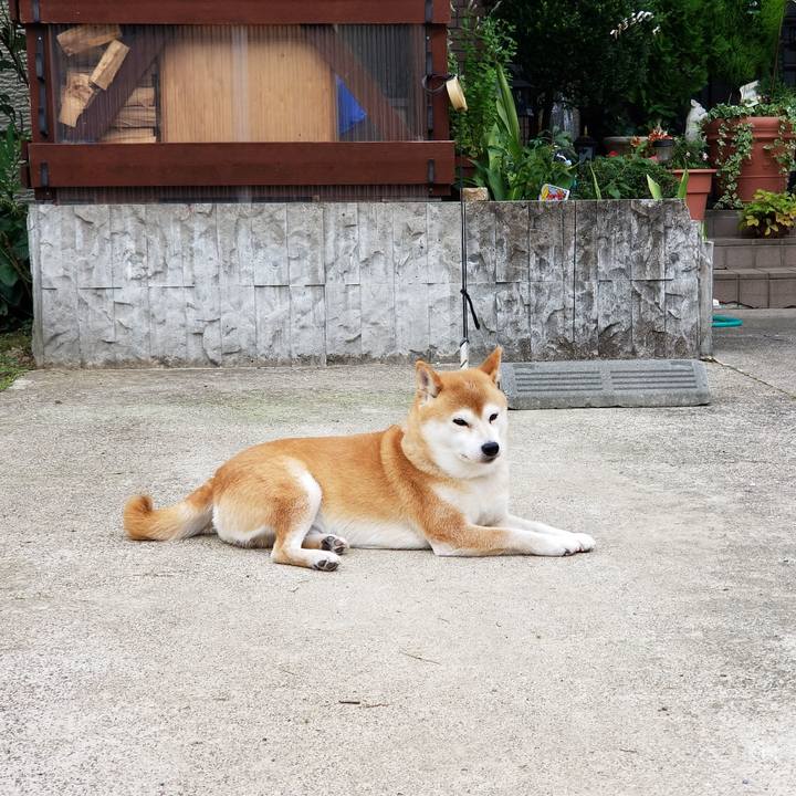 38d9d85e 7a53 4ae1 8d9a 052a6c52916f 1566633565659