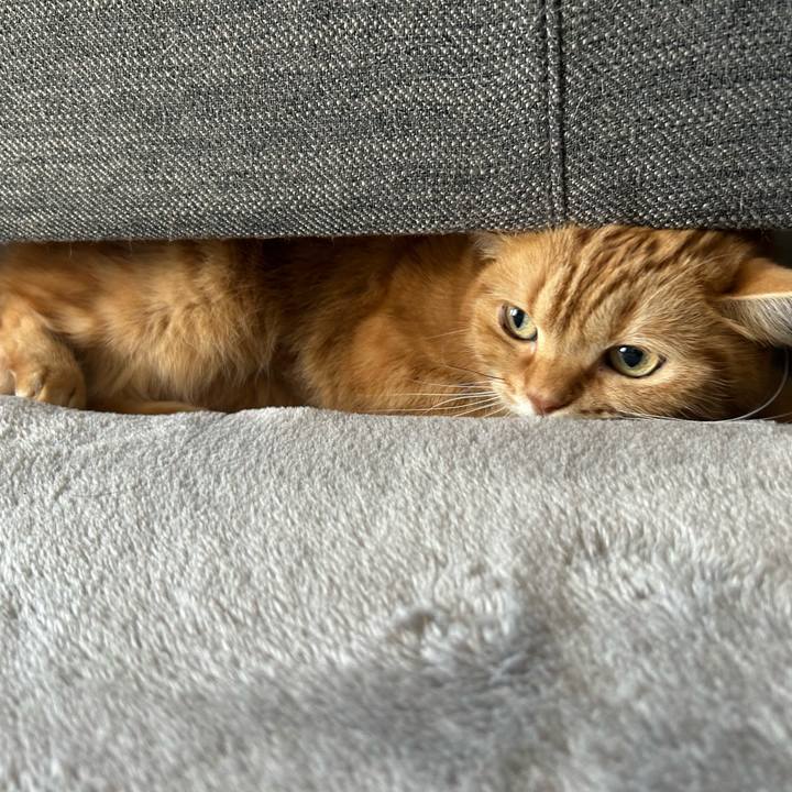 38d9ed87 6c7f 4f10 887c 6cdbdc0d976b 1704537100484