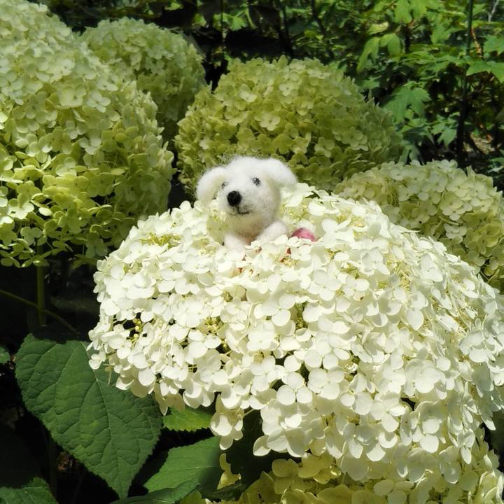 38da01f9 7b6f 4f1b af05 1d7e827449d4 1591836926669