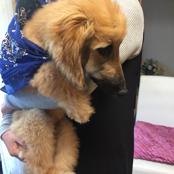 38da203e 8414 4e2e b516 6a3b17b12c5a 1520139237366