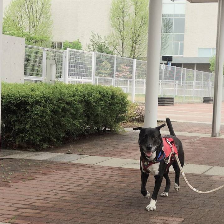 38da3a49 5f03 41d3 9de2 798c97834d63 1681604476990