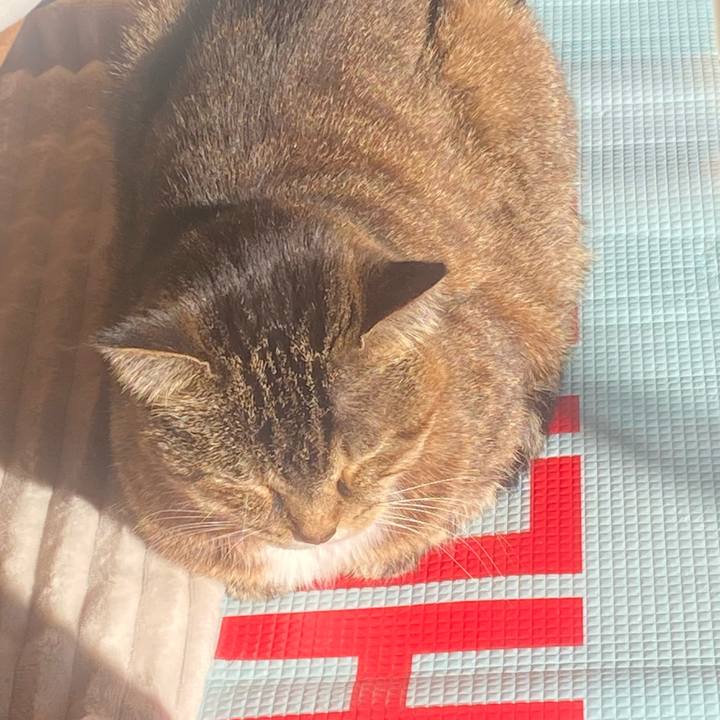 38da632f 2dc2 4268 83a3 c22c321240b1 1731121212449