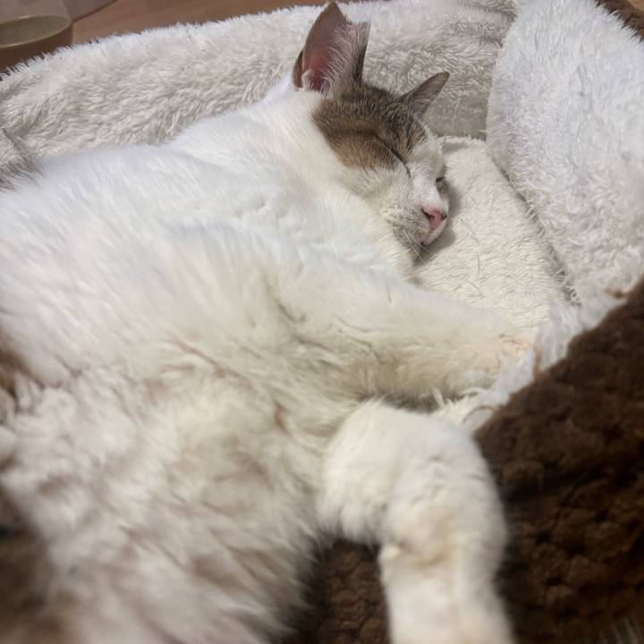 38da749b 6361 4cf8 b9cd 14a4c02f8325 1762358031405