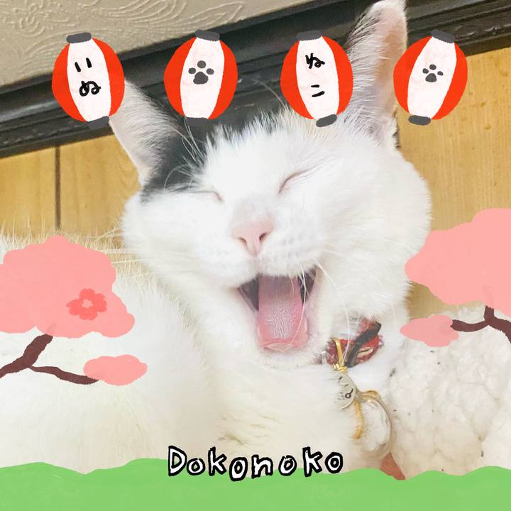 38dab114 266a 47a1 bce1 a58d8444e30c 1712244983158