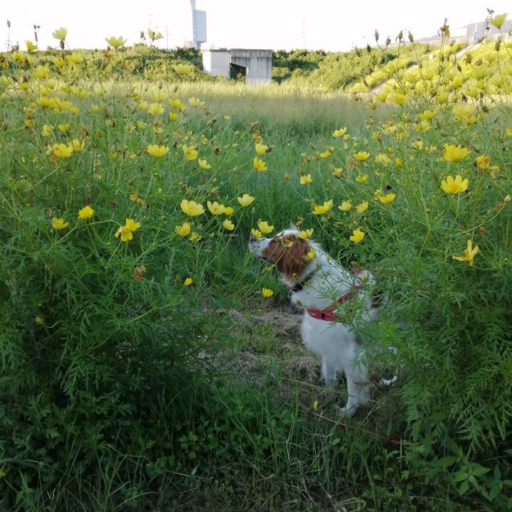 38dac44d 2969 4701 8399 0f8500b78db4 1568030623337