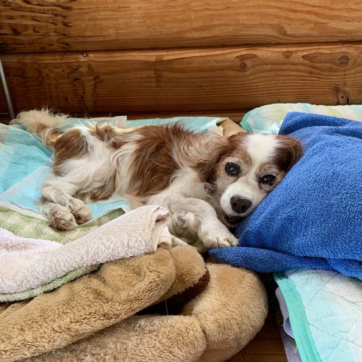 38dac4ed e915 43a7 9760 c20a82a1e963 1623640895859