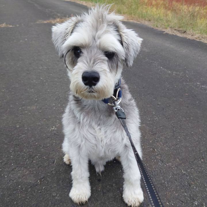 38dac503 b135 489a ad6f a7d4fb1a7b42 1760137536482