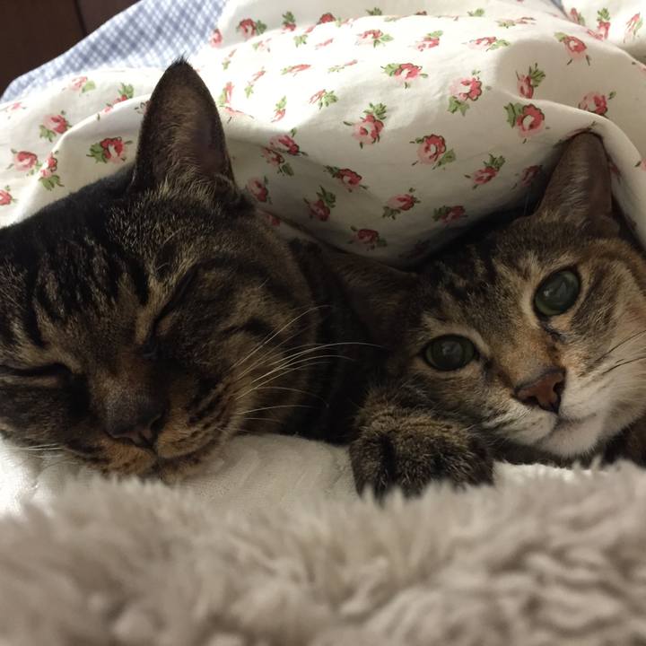 38dac75f f788 4e2f 8814 f96d798448c8 1519392877809