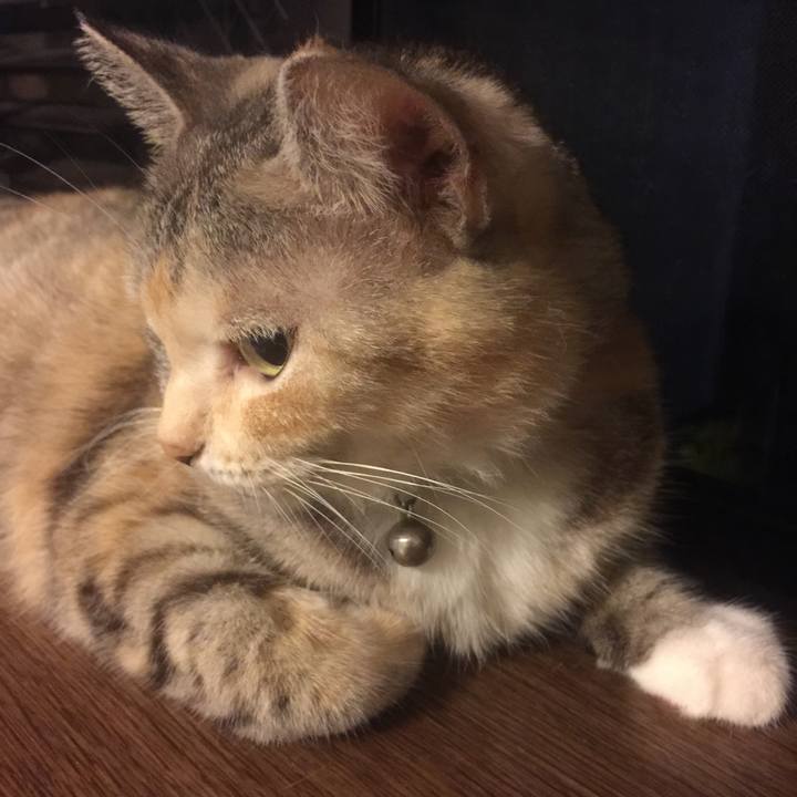 38db1b50 8f05 44d3 862b ce2014293c8c 1568728832362