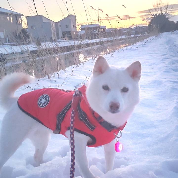 38db1ef4 9f82 4fe5 b84e 35da4e484387 1675155447077