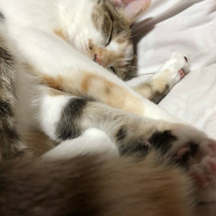 38db2fdc c077 43ed 8414 827e95d5ebff 1559396194417