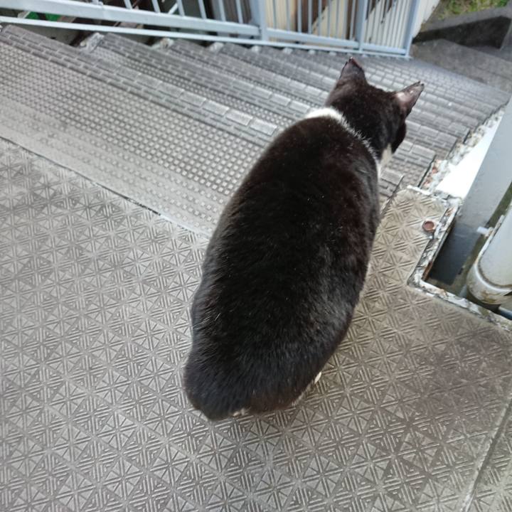 38db3e30 7d23 4c5e b300 f3780a82fd14 1581652618984