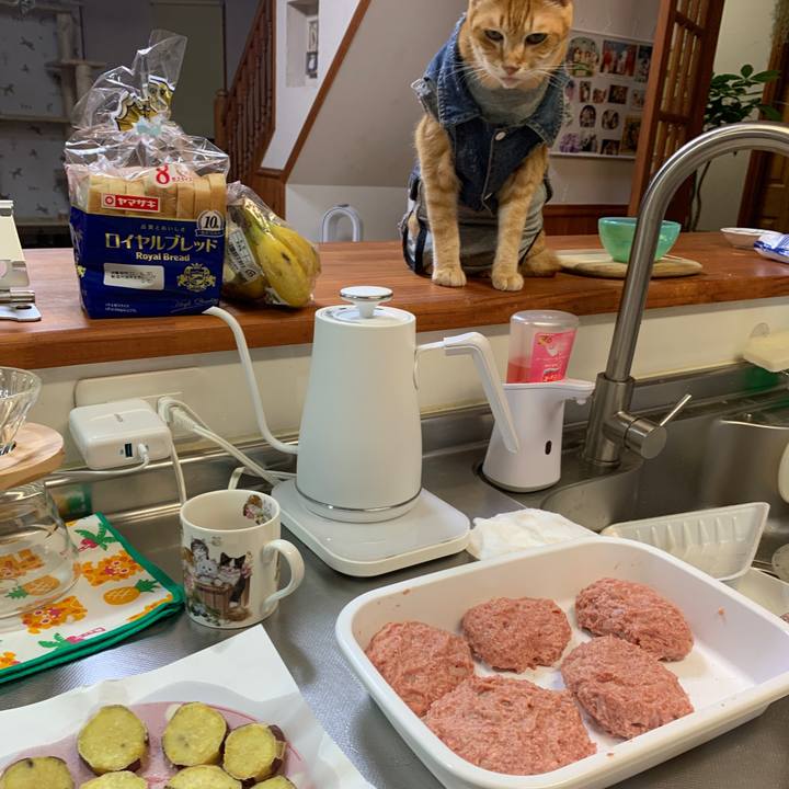 38db443d 9041 4b94 be35 0828c5aac419 1656243629099