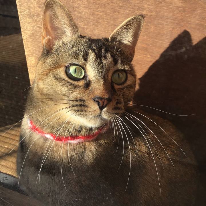 38db7712 b6ca 49d0 bf83 76e5b0df5036 1608701564451