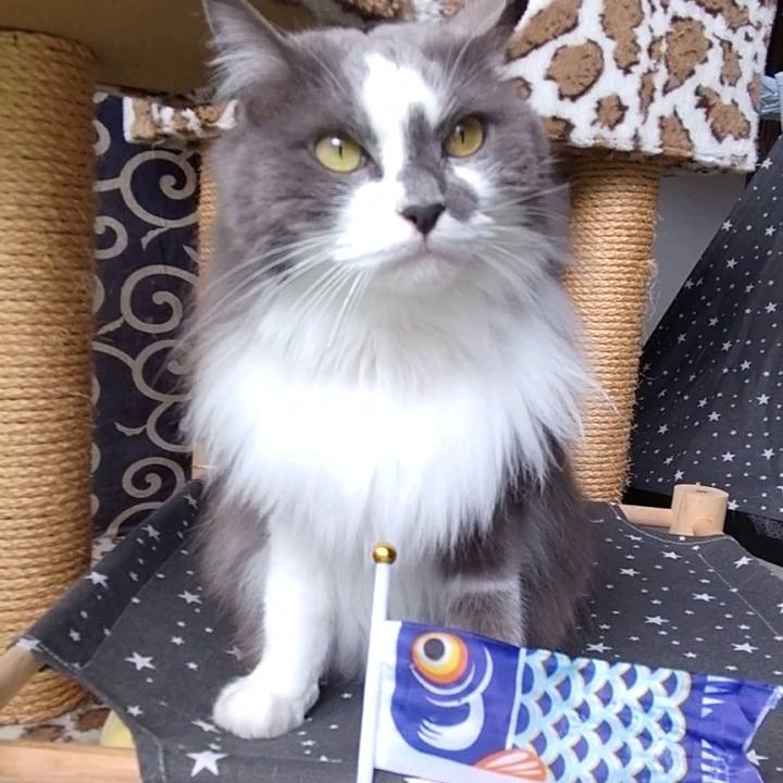 38db8bc1 1c22 4c3e 8363 2a66d2c2de2d 1683090968425