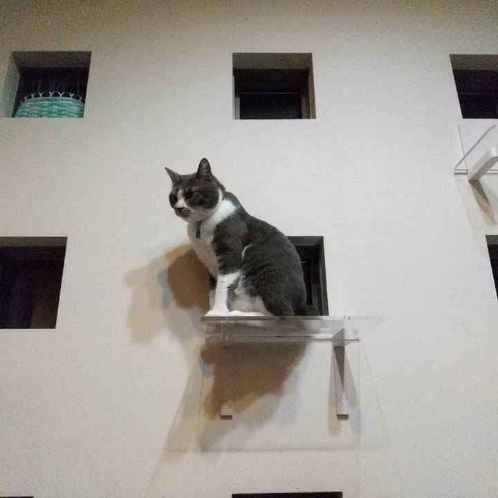 38dbc298 9cec 44ef 9cd1 39c75eb6d173 1650894128296