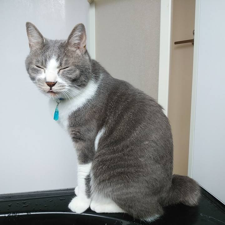 38dbf688 7e1a 49bd 8293 57ac047f49b4 1654568445904