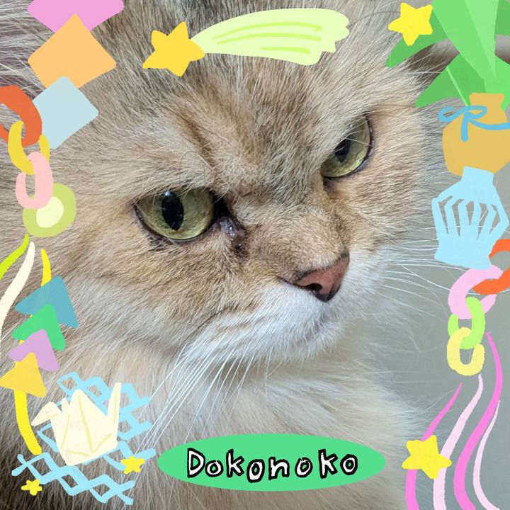 38dc293f 3f34 4cd2 b6d2 32d2b0f5b59c 1755208952252