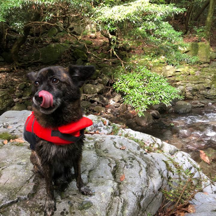 38dc3cb1 3009 4e12 b76e 271a1916f156 1566051229972