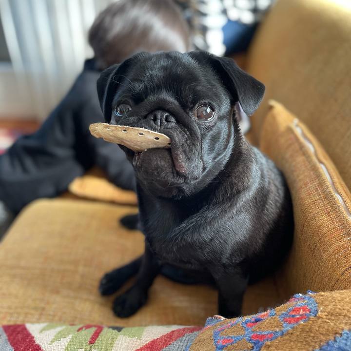 38dc689c 7181 4bd1 afa0 eb21760aba4b 1614058242802