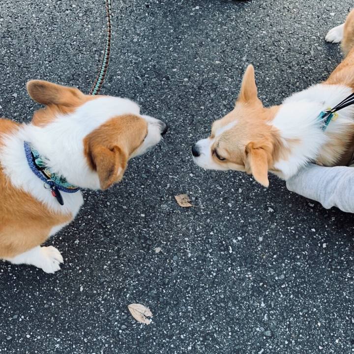 38dd1aae a65d 4cb3 99a2 e95437b1015e 1575843516436