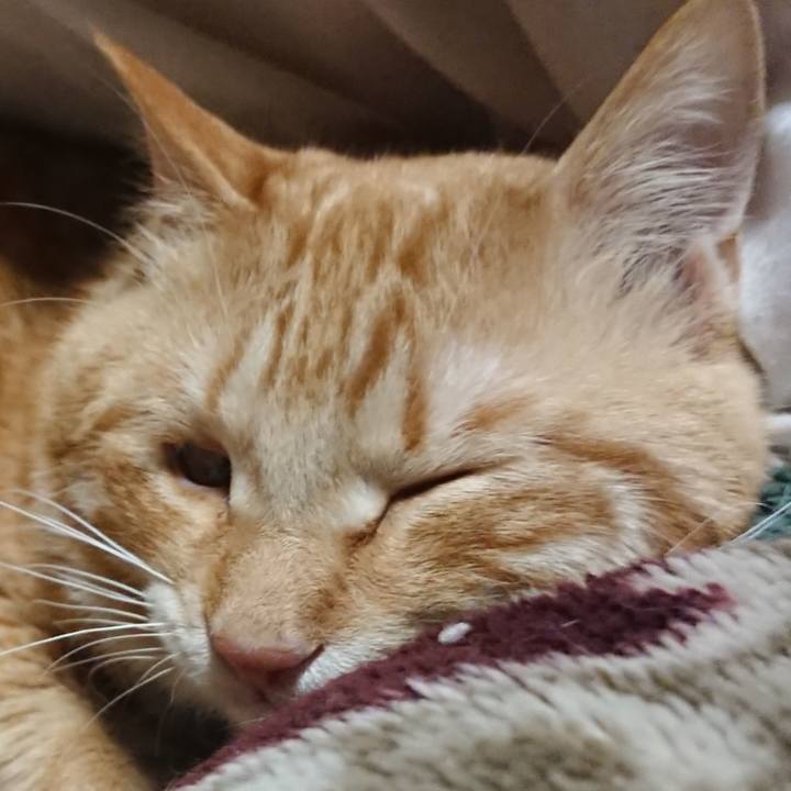 38dd4e26 6f57 4f65 8c15 2d910f924616 1645793426309