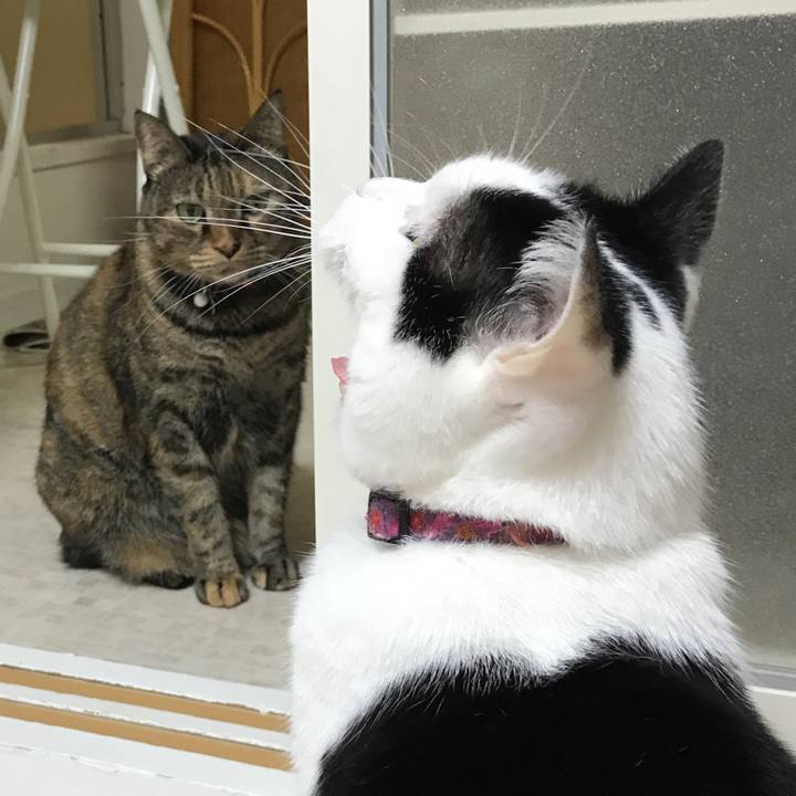 38dd50d9 fdff 4b94 a757 5c67dfa431d0 1510149277965