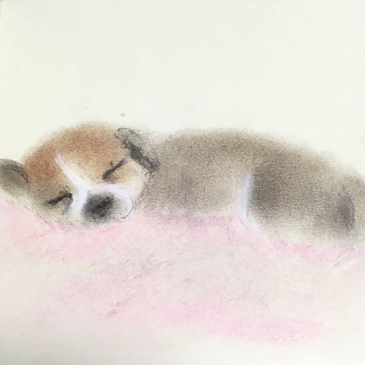 38ddbd92 bc5e 4822 9d61 23440ca771fb 1587966019335