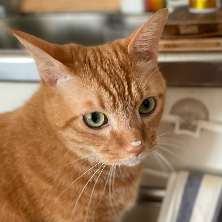 38ddc9af 33ab 4c18 8f8c c8891cec0370 1695716513302