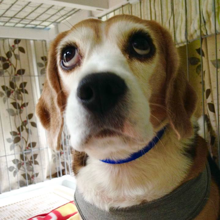 38ddcb2b 4527 4e63 8abe f566ac61d496 1728605781561