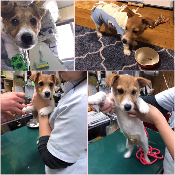 38ddd1c2 9520 4e4f befb 079c81adaa6e 1550483989137